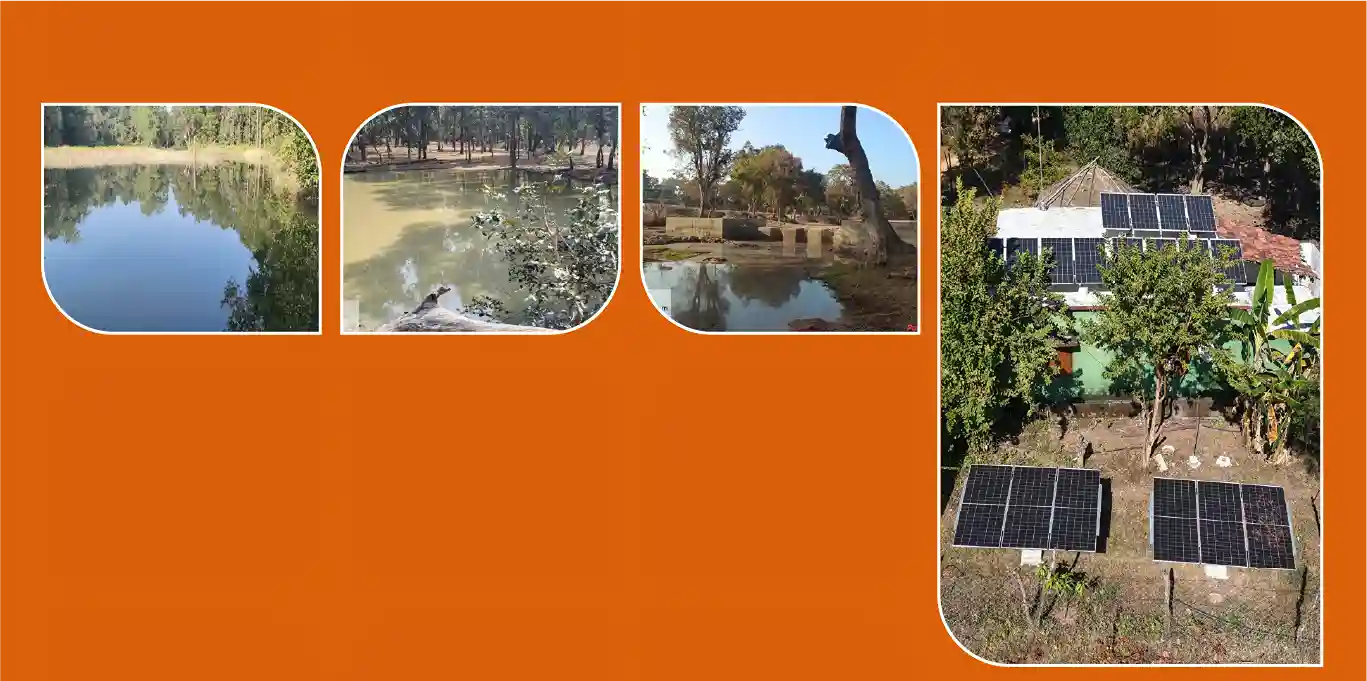 Shaping a Better Tomorrow: Our Interventions in Satpura Tiger Reserve
