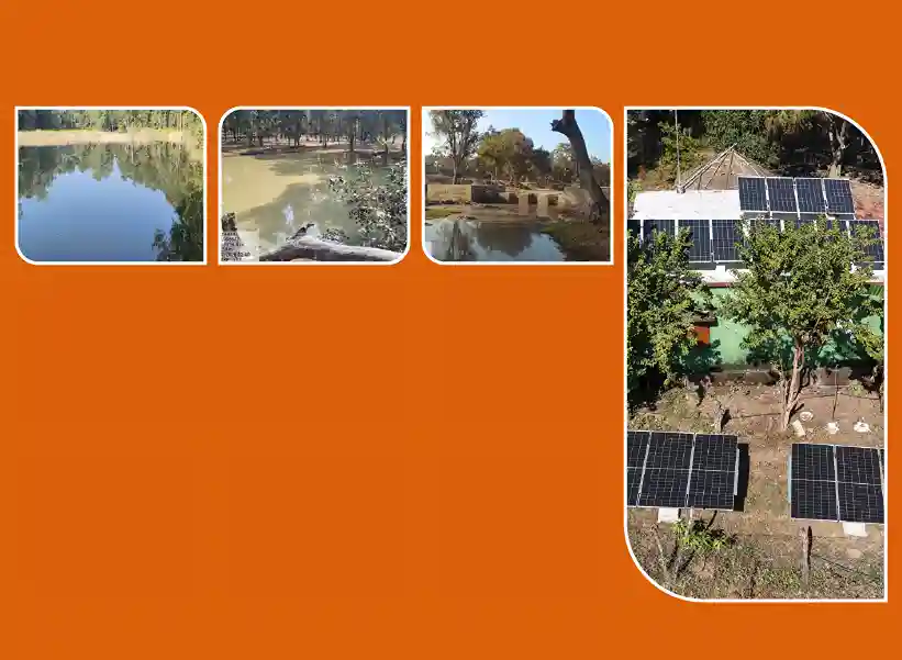 Shaping a Better Tomorrow: Our Interventions in Satpura Tiger Reserve