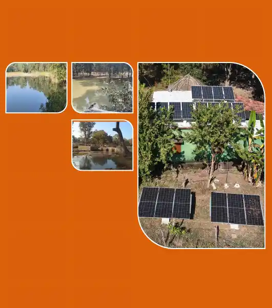 Shaping a Better Tomorrow: Our Interventions in Satpura Tiger Reserve